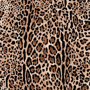 Zomer softshell flexibel – luipaard