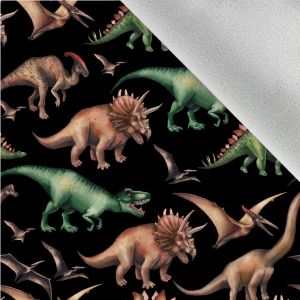 Winter softshell – Dino wereld op zwart