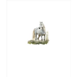 Tricot / Jersey Takoy PANEEL paarden geschilderd wit 50x60