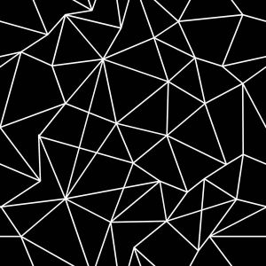 Polyester Tricot / Jersey voor t-shirts geometrisch patroon Nola zwart