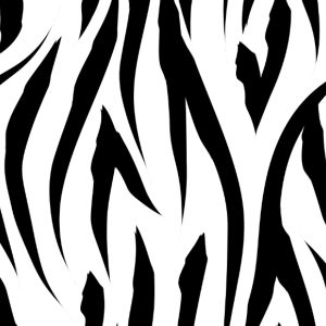 Polyester Tricot / Jersey voor t-shirts zebra