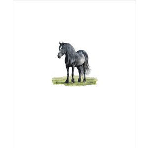 Tricot / Jersey Takoy PANEEL paarden geschilderd zwart 50x60