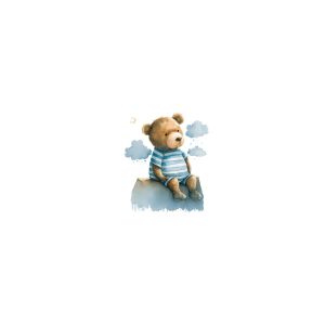 Tricot / Jersey Takoy PANEEL teddybeer in wolken 50x60